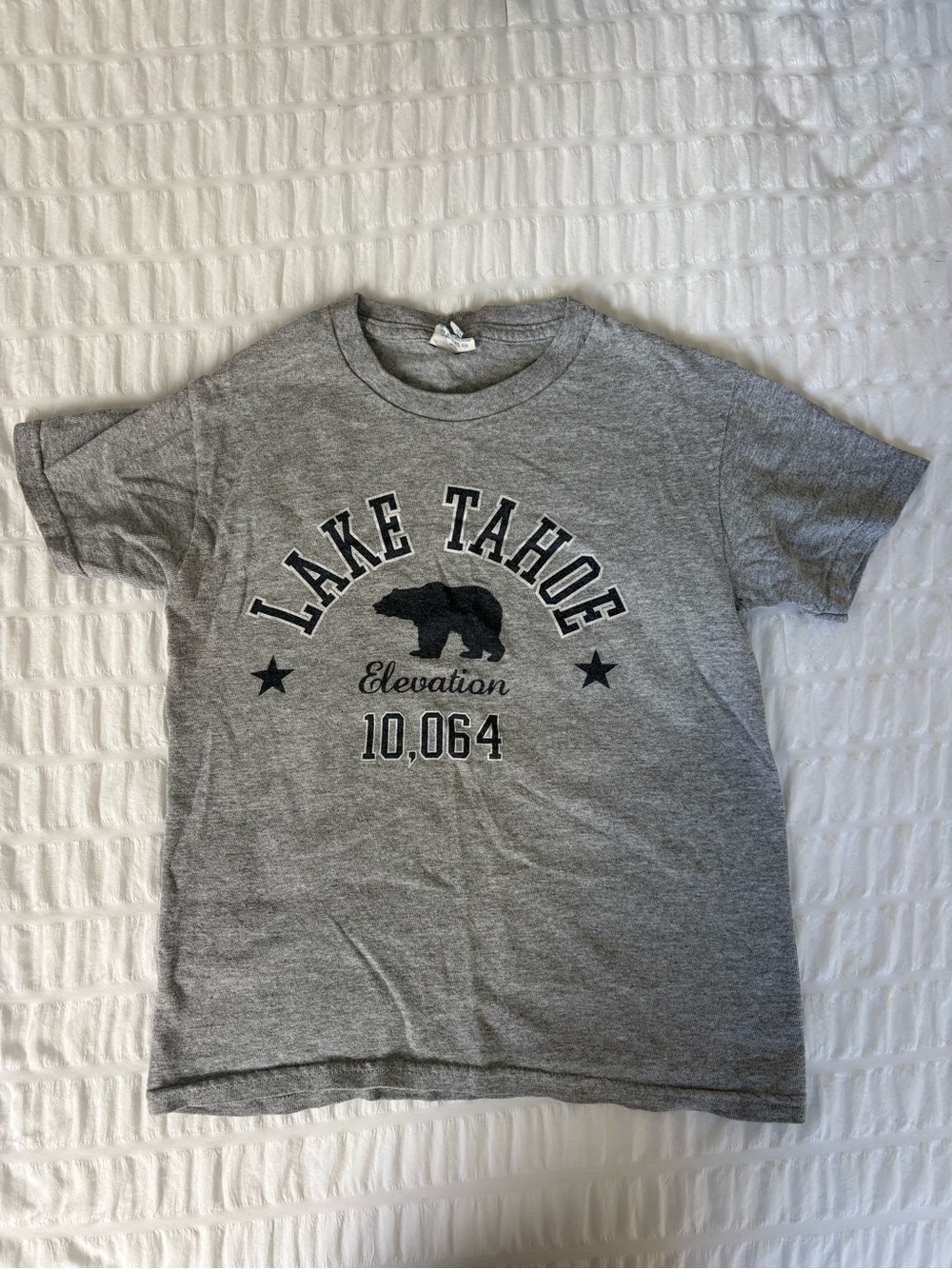Delta Grey 'Lake Tahoe' Graphic Tee with Bear Motif